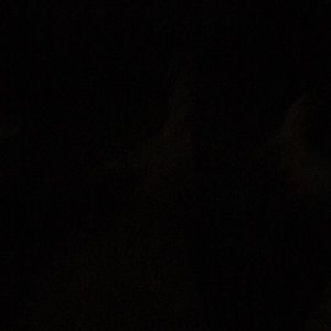 Meet your Posher, Harold